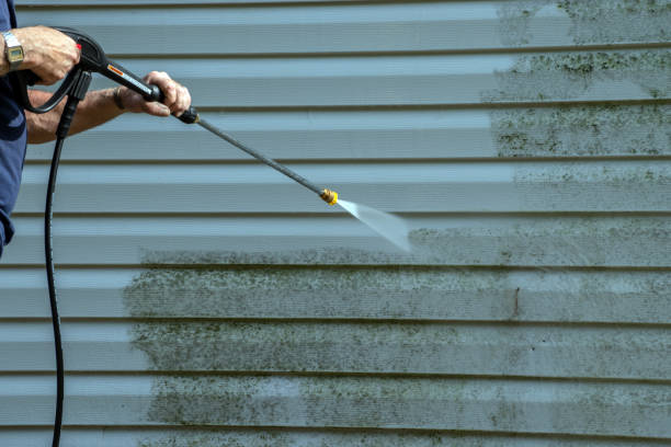 Best Roof Washing  in Crewe, VA